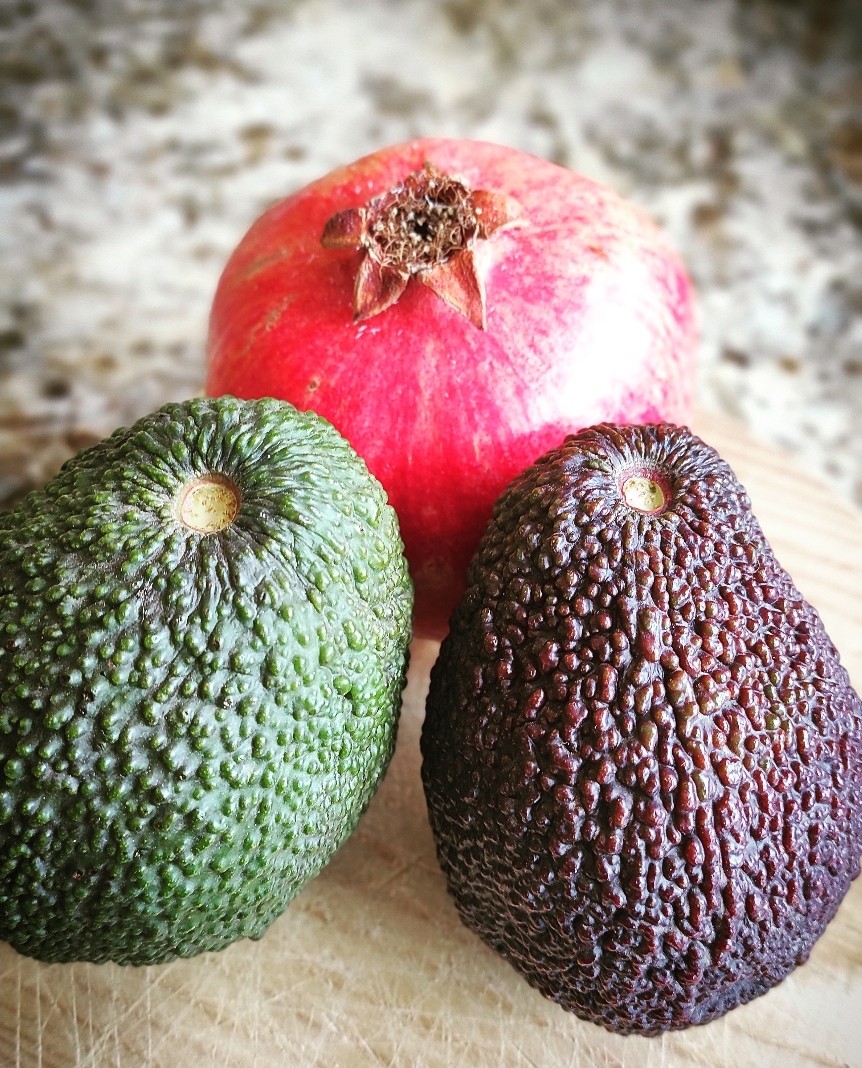 Update aus dem Avocadohain 6 Wie lange braucht eine Avocado zum Nachreifen? Avocados von Update aus dem Avocadohain 6 Wie lange braucht eine Avocado zum Nachreifen? Avocados von